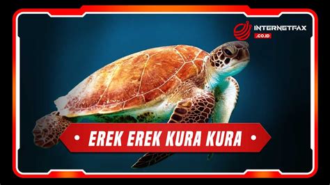 Kura kura 2d  2 Desember 2005 : 51 – 57 51 STUDI PENDAHULUAN : KEBERADAAN KURA-KURA ROTE (Chelodina mccordi, Rhodin 1994) DI PULAU ROTE, NUSA TENGGARA TIMUR (Survey of Rote Snake-necked Turtle Chelodina mccordi in Rote Island, East Nusa Tenggara) WEMPY ENDARWIN 1, ADININGGAR UL-HASANAH 1,